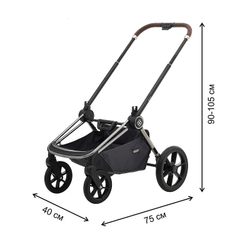 Коляска 2 в 1 Labala Raiz Edition Line 2025 Anthrazit