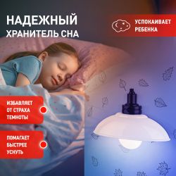 Ночник - светильник светодиодный ЭРА NLED-487-1W-SW-W настенный на батарейках с выключателем белый | Ночники