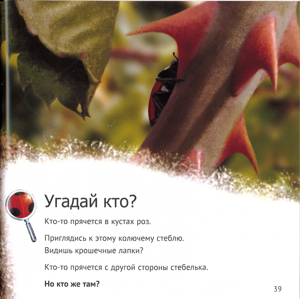 Кто живет у нас на даче. От мала до велика. Майк Анвин