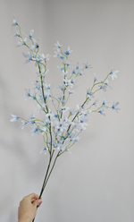 Сакура Звёздочка / Арт 1171