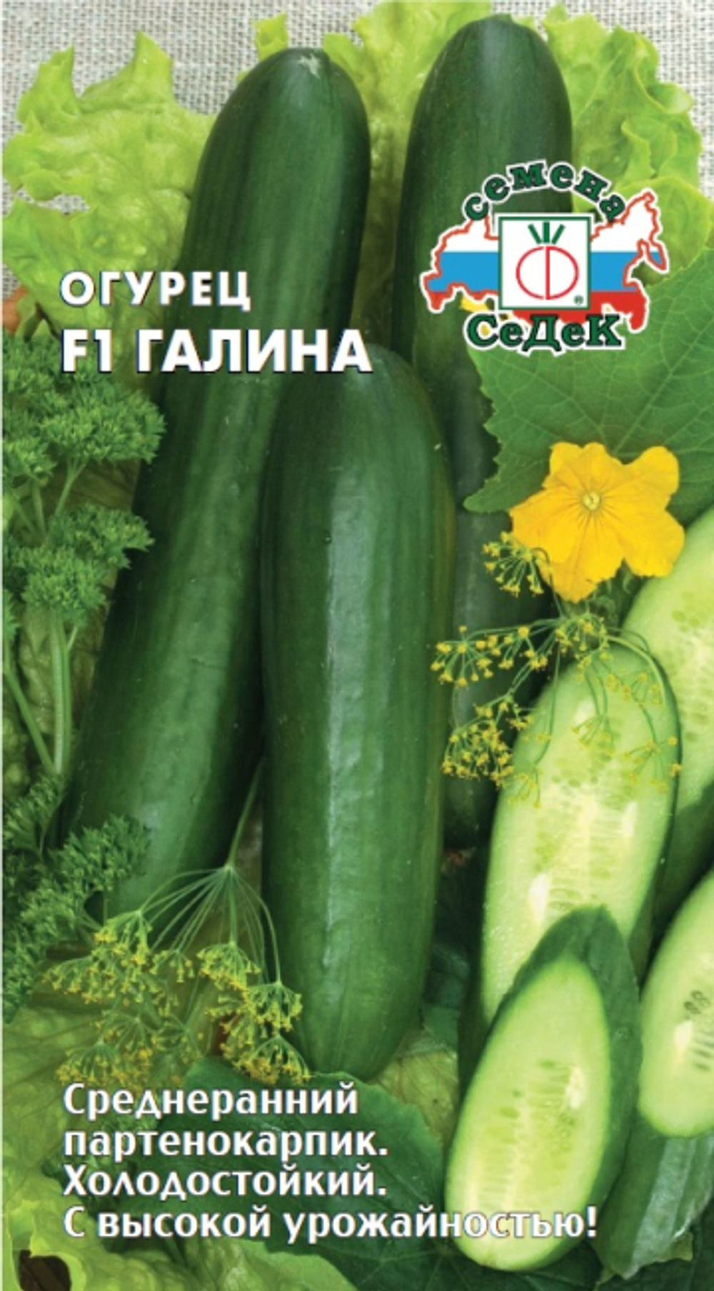 огурец Галина  F1