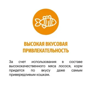 Уценка! Срок до 05.2024/ Сухой корм для для взрослых кошек, Karmy Hair & Skin, поддерживающий здоровье кожи и шерсти, с лососем