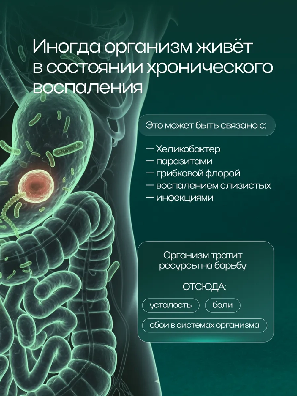 Молотая кора осины Влюбленная Маруся, 200 г