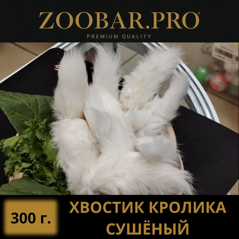 ХВОСТ КРОЛИКА