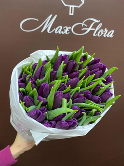 Тюльпаны 8 Марта 51 М-67