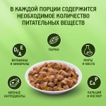 Курочка в желе, 85г влажный корм для кошек KiteKat