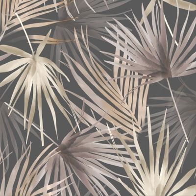 Palm tropical