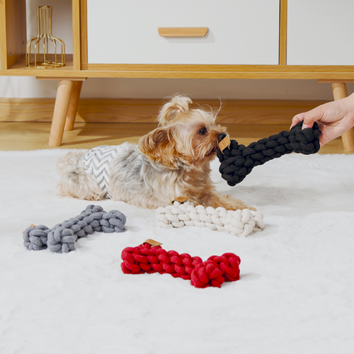 Игрушка для собак Косточка COTO  19 см M-Pets