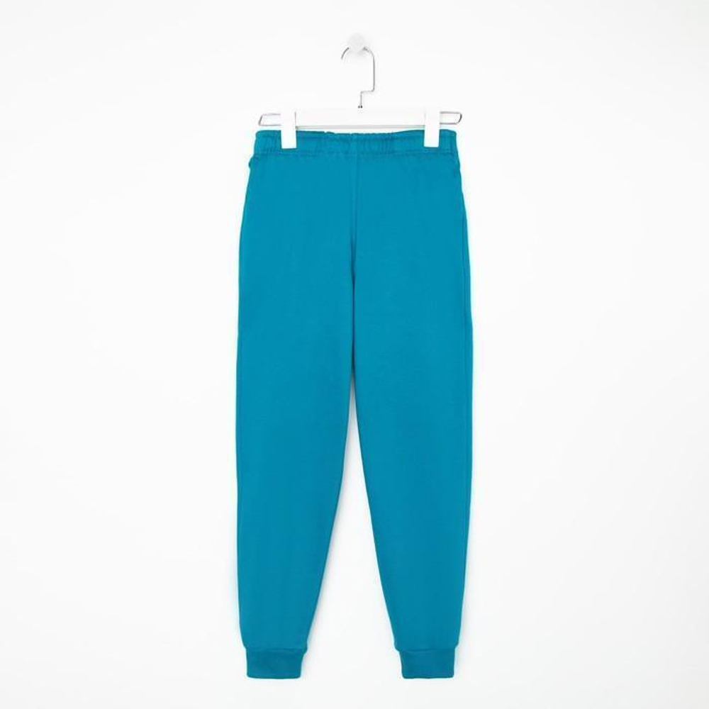 Брюки для мальчиков футер двунитка, с начёсом А.ТрДет-301, изумрудный, р.140 9299036 (RADI)