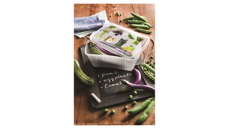 Набор контейнеров 2шт 2л SNIPS Fresh для СВЧ и заморозки