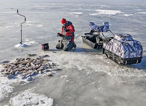 Мотобуксировщик BALTMOTORS Snowdog Standard Z15