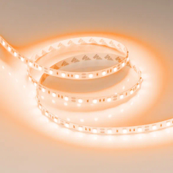 Светодиодная лента RT-B60-10mm 12V Orange (14.4 W/m, IP20, 5060, 5m) (Arlight, Открытый) 015972(2)