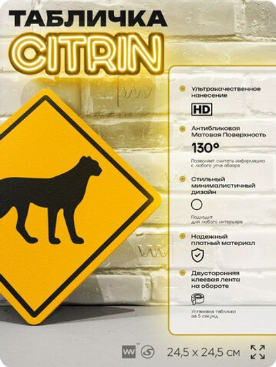 Табличка прикольная "Осторожно, леопард" на дверь и стену, информационная и предупреждающая, декоративный знак, 24,5х24,5 см, пластиковая, Айдентика Технолоджи