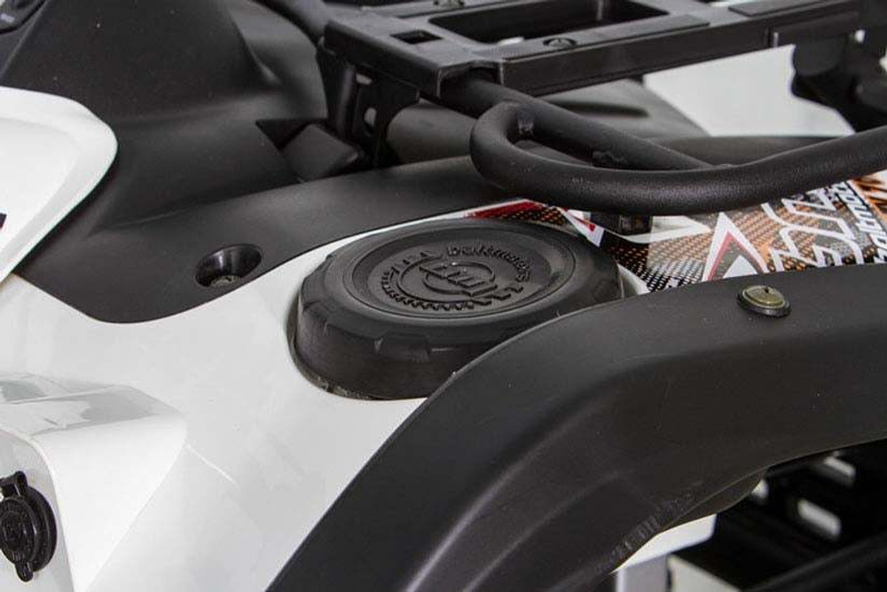 Квадроцикл BALTMOTORS Striker 700 EFI (ПСМ)