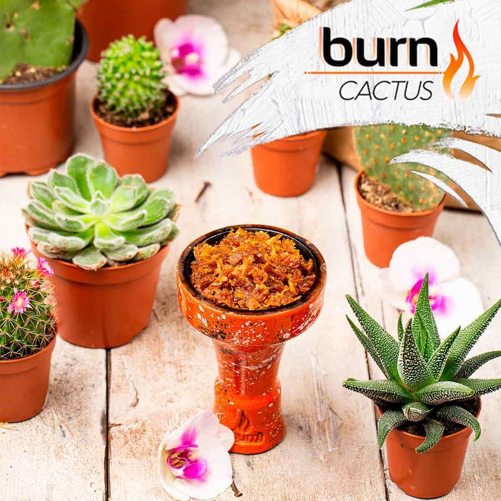 Burn - Cactus (25g)