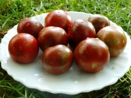 Помидоры Цзы-Ю — Дзы-Би-Ю