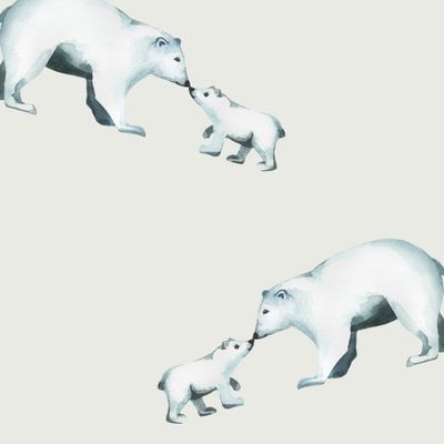 Белые мишки