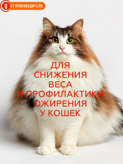 95b6baf6c43fe9f721ecfed5b030e333