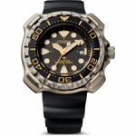 Мужские наручные часы Citizen BN0220-16E