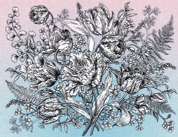 Коллекция Grafika Natura