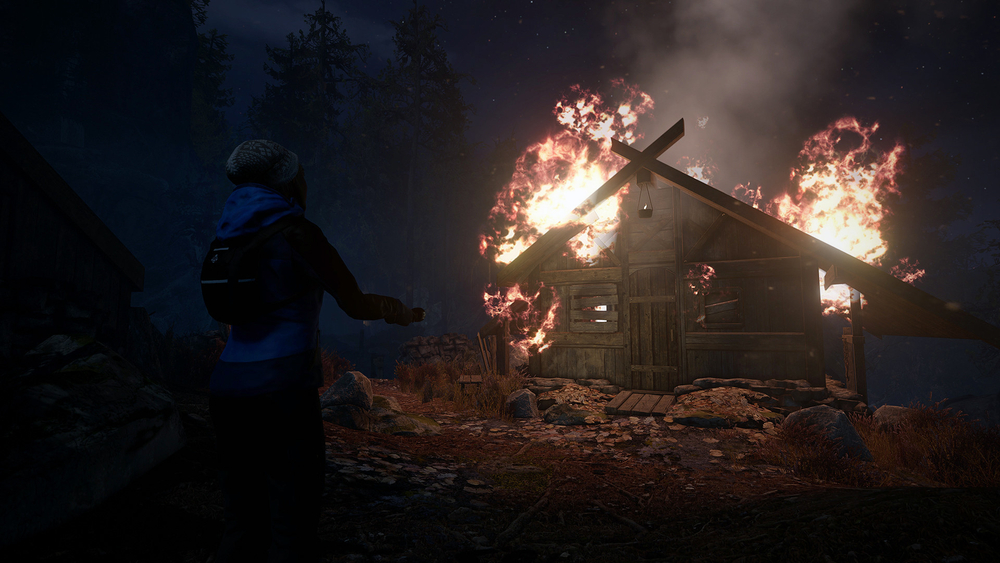 Through the Woods (для ПК, цифровой код доступа)