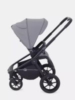 Коляска 2 в 1 Rant Flex 2025 RA076