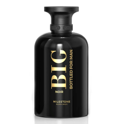 Big Bottled for man noir 100 ml биг ботэлд ноар