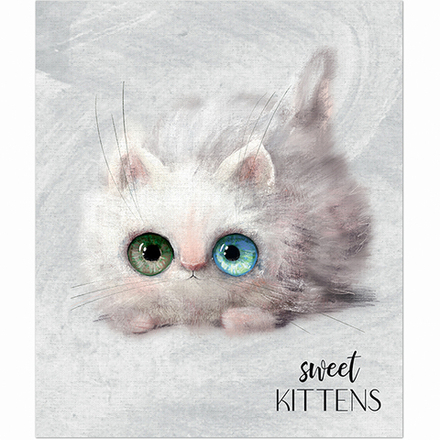 ТЕТРАДЬ ОБЩАЯ 48 ЛИСТОВ НА СКРЕПКЕ “Глазастые котики”