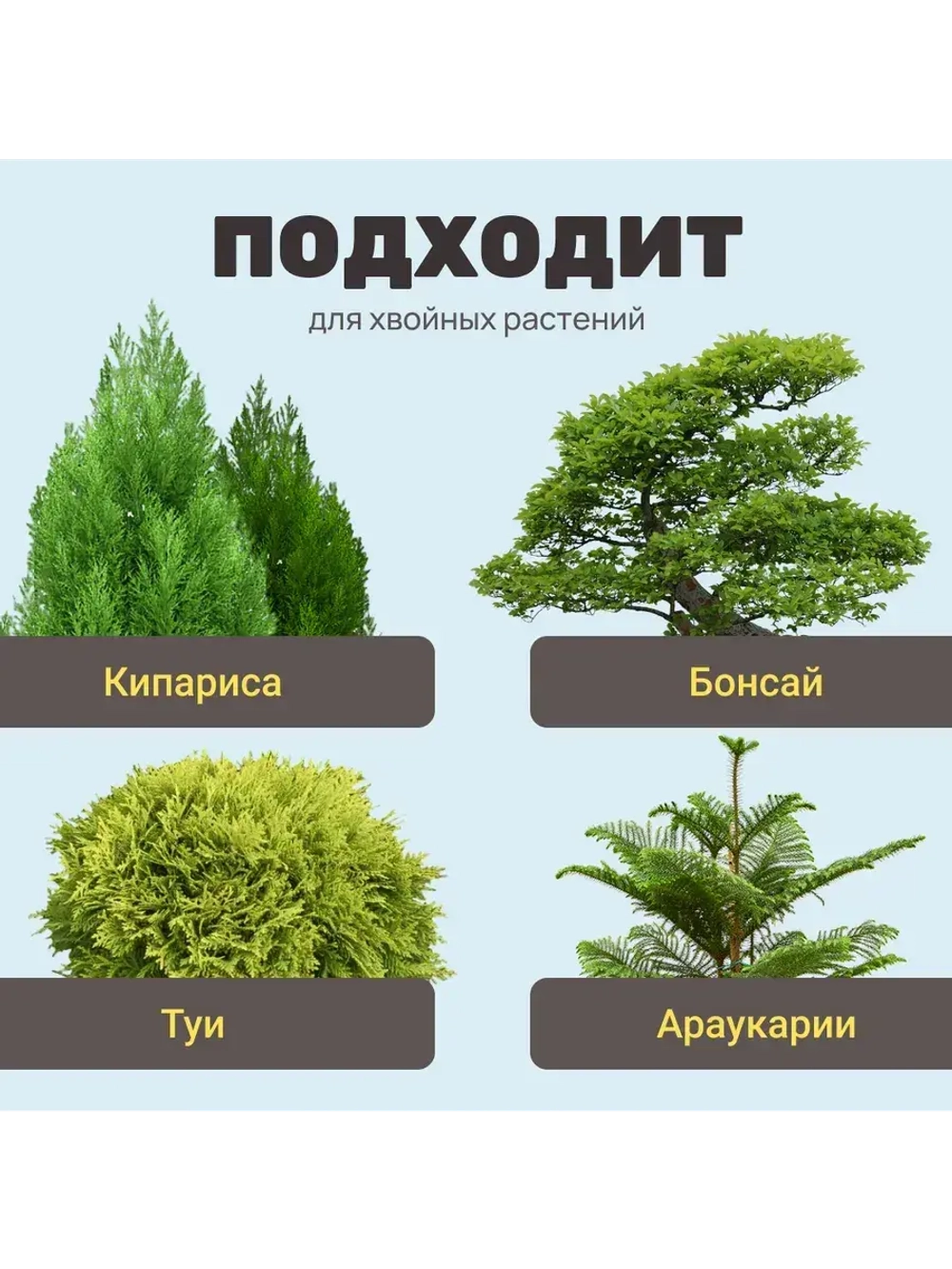 Органический грунт для кипарисов и хвойных растений 5 л