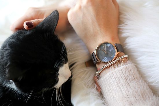 Наручные часы Skagen SKW2390