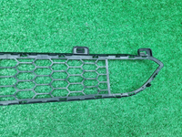 Решетка переднего бампера BMW X5 F15 13-18 M-Paket