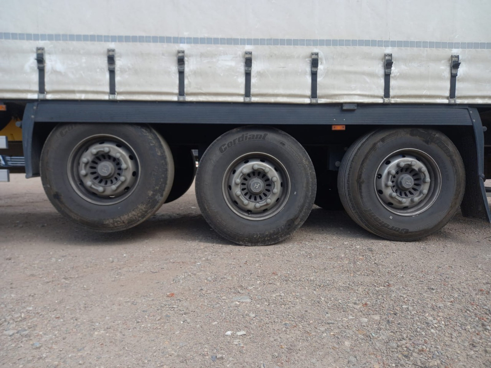 Grunwald 9453 Полуприцеп бортовой (евроборт) 9453-0000010-10 (Шторный)