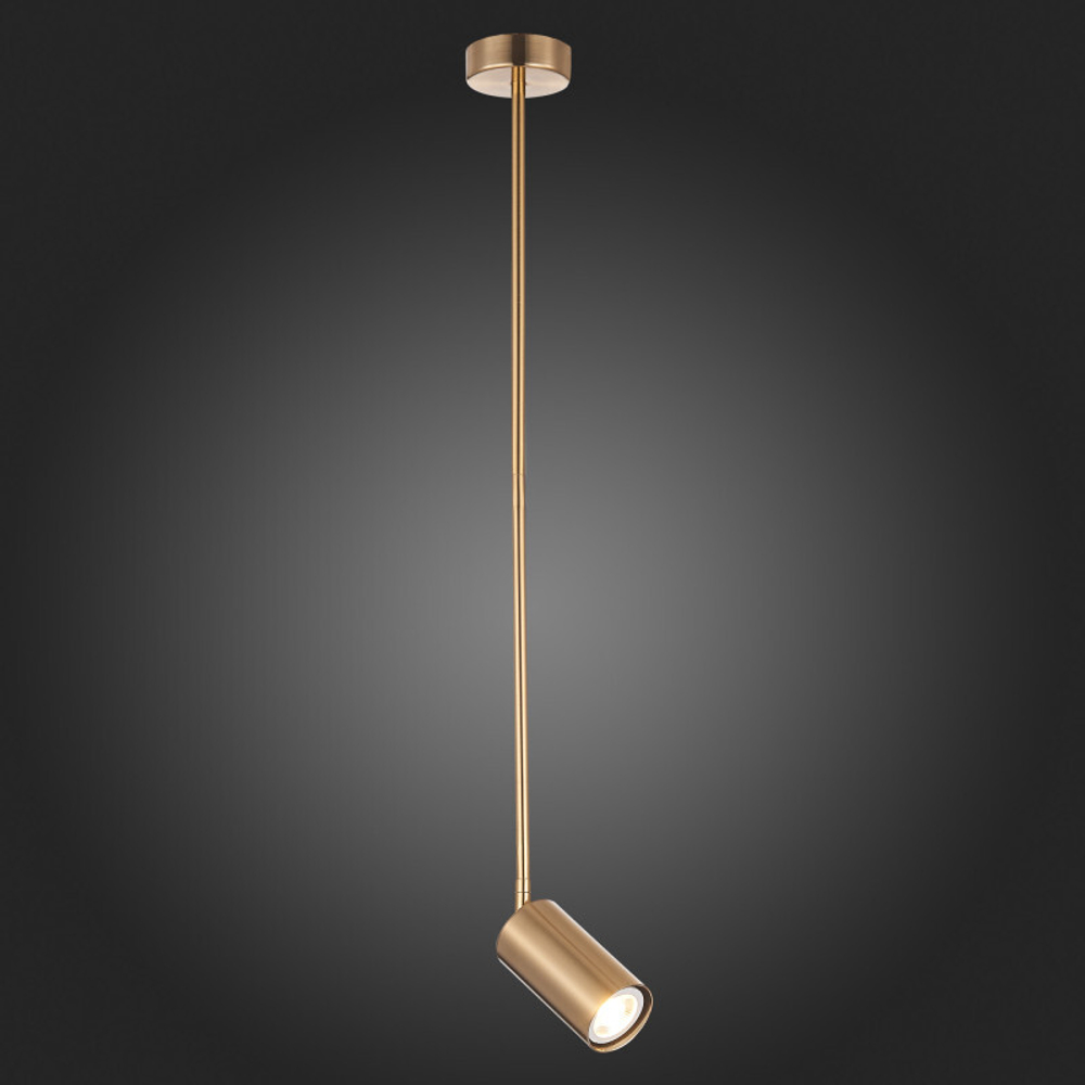 Светильник на штанге ST-Luce SL1206.303.01