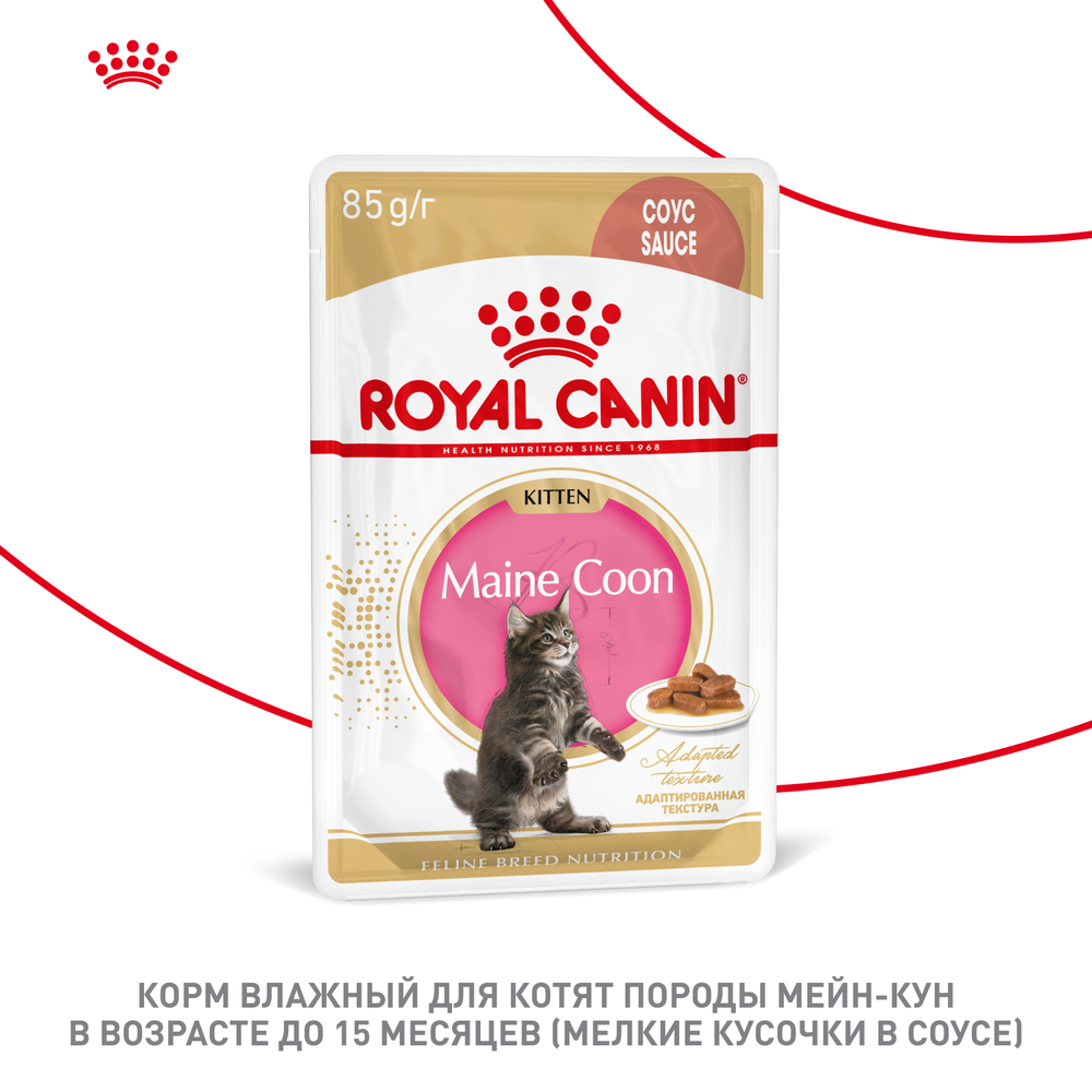 Royal Canin Maine Coon Kitten Мейн Кун Киттен Корм влажный для котят породы Мэйн Кун в возрасте до 15 месяцев соус 85г