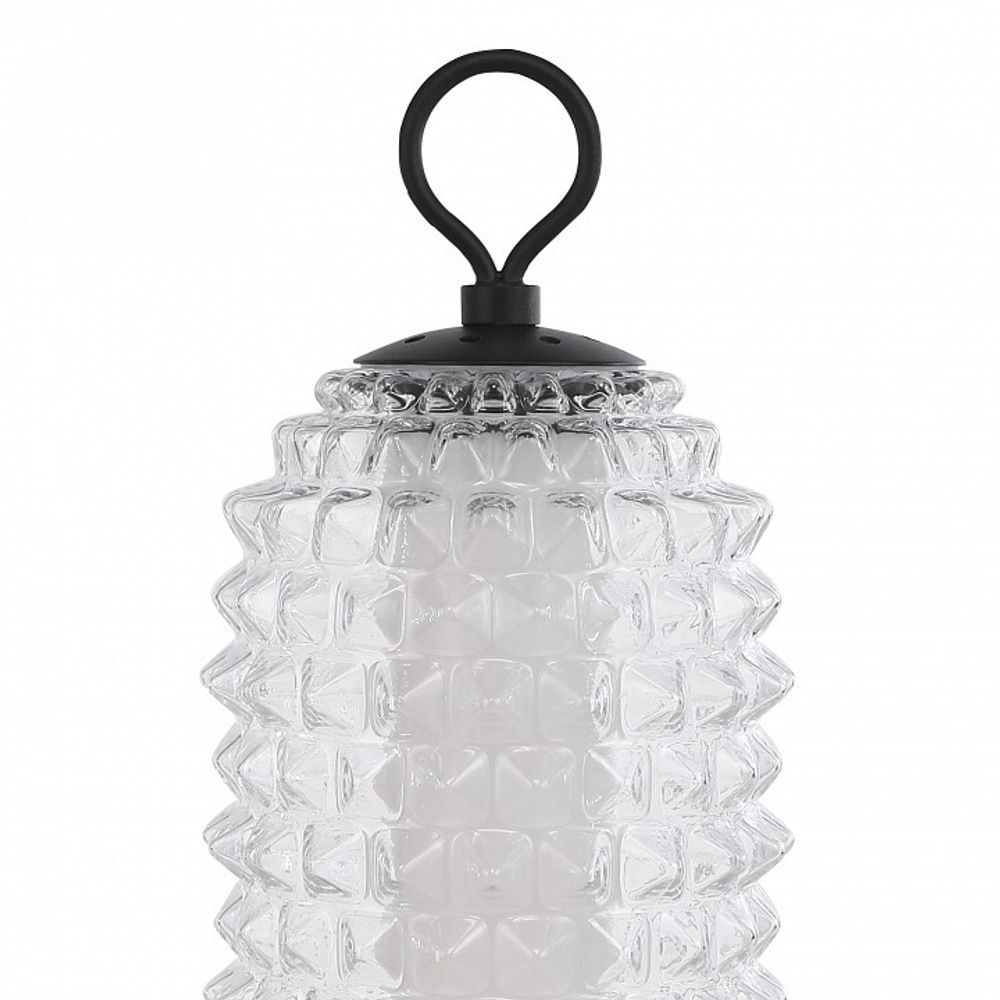 Настольная лампа декоративная ST-Luce SAGUARO SL6144.404.01