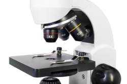 Микроскоп Levenhuk Rainbow 50L PLUS Moonstone\Лунный камень - фото 10