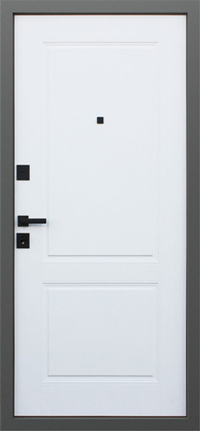 Стальная дверь "Интер"