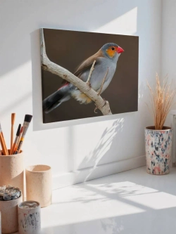 Картина на стену 40 X 50 Птица