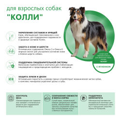 Корм сухой для взрослых собак породы Колли, с ягненком, 2.5 кг, QUATTRO