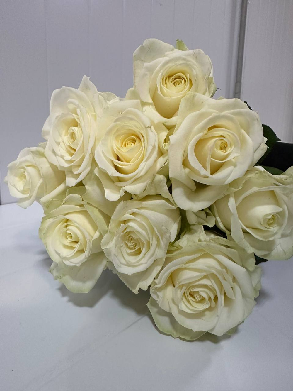Букет из 9 шт белой розы 60см
