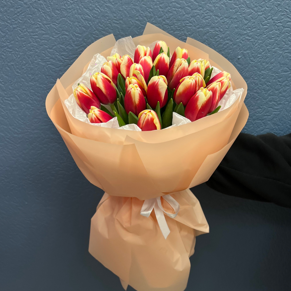Букет свежих красно-белых тюльпанов