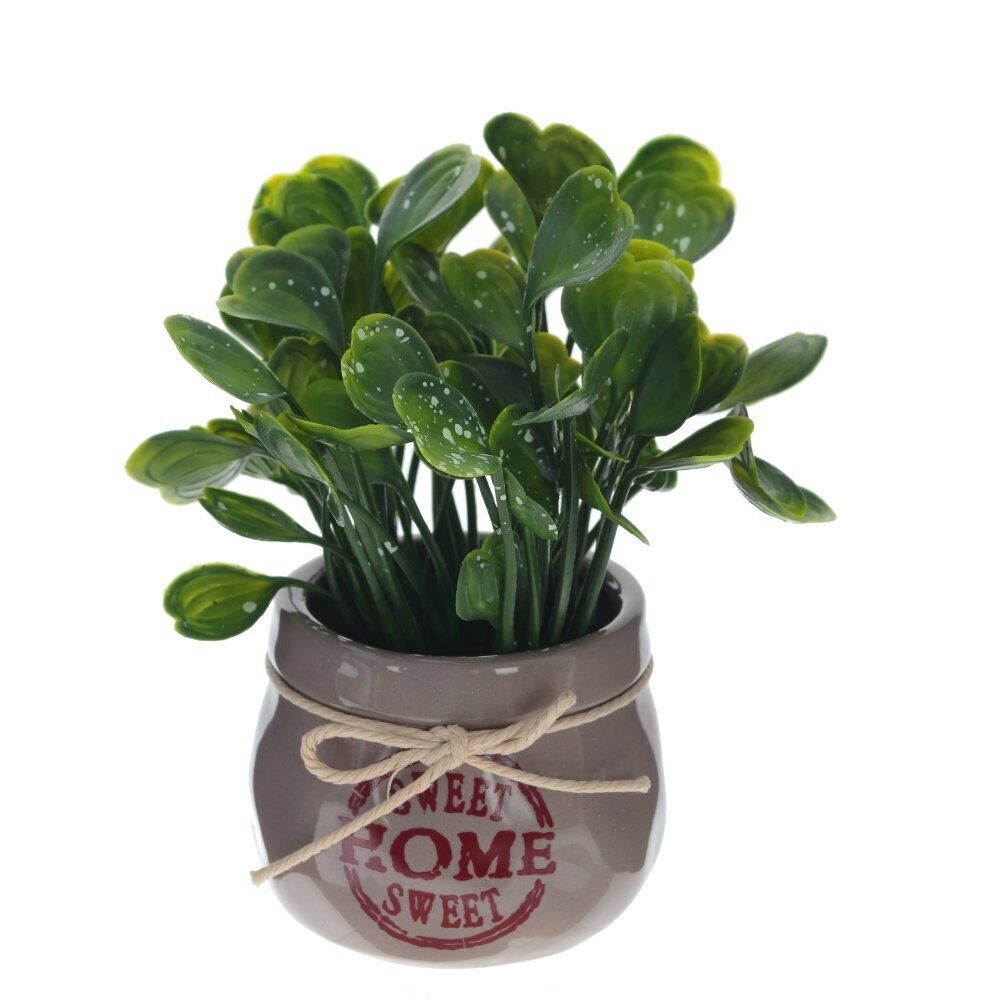 GAEM Цветочная композиция, L12 W12 H18 см