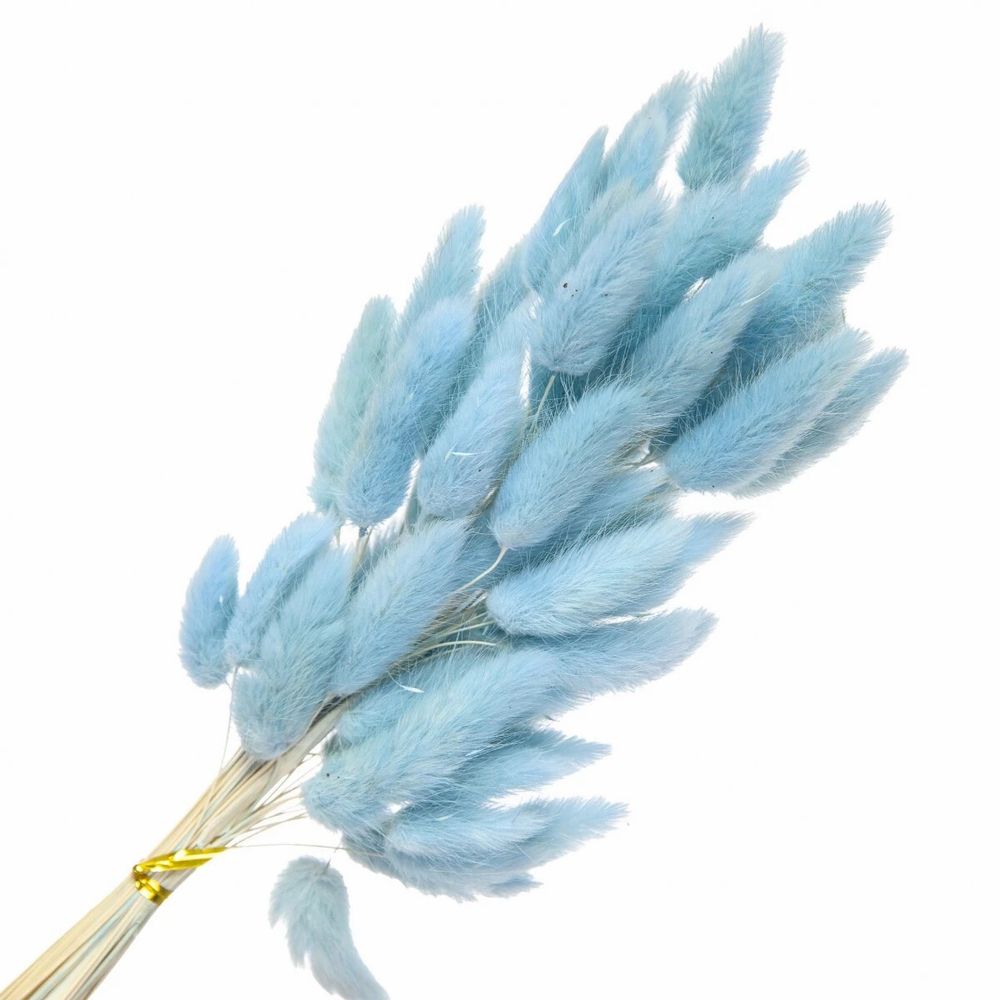 Сухоцветы ЛАГУРУС 65см 34гр ГОЛУБОЙ