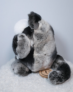 Кот Марсель (черно-шиншилловый) - уникальный окрас