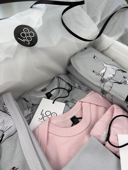 Сет LooJoo Newborn Журавли из 16-ти предметов (girl)