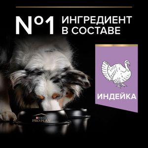 Сухой корм Pro Plan для взрослых собак средних и крупных пород с чувствительным пищеварением GRAIN FREE (беззерновой), с высоким содержанием индейки