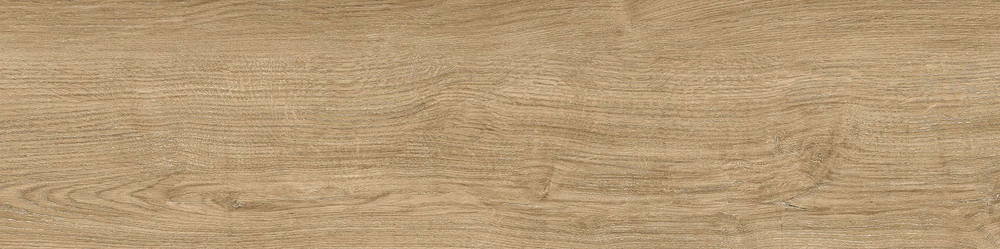 Керамогранит Baltic_GT темно-бежевый 19,8x80 GT208021210MСR