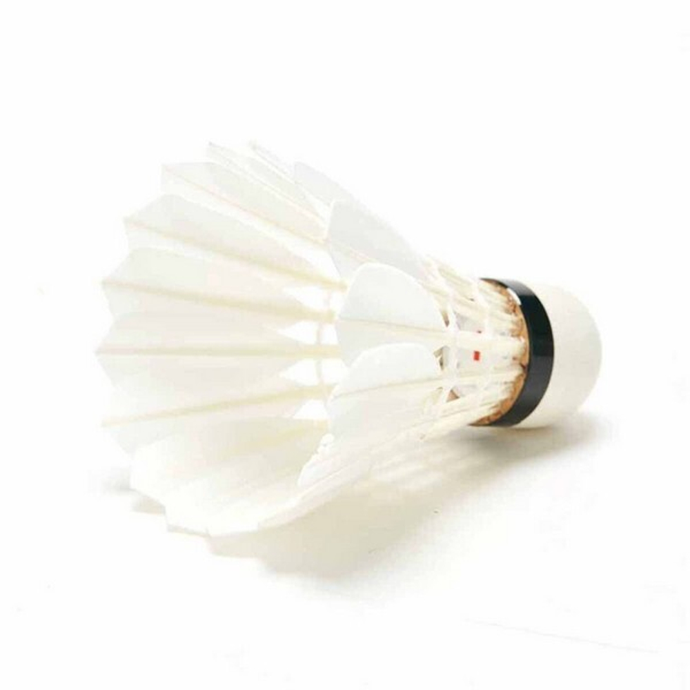 перьевые премиальные турнирные воланы KAWASAKI TEAM MAO 1 в наличии в Москве