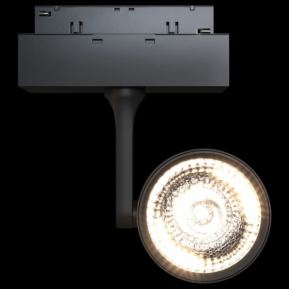 Светильник на штанге Maytoni Track lamps 3 TR024-2-10B3K