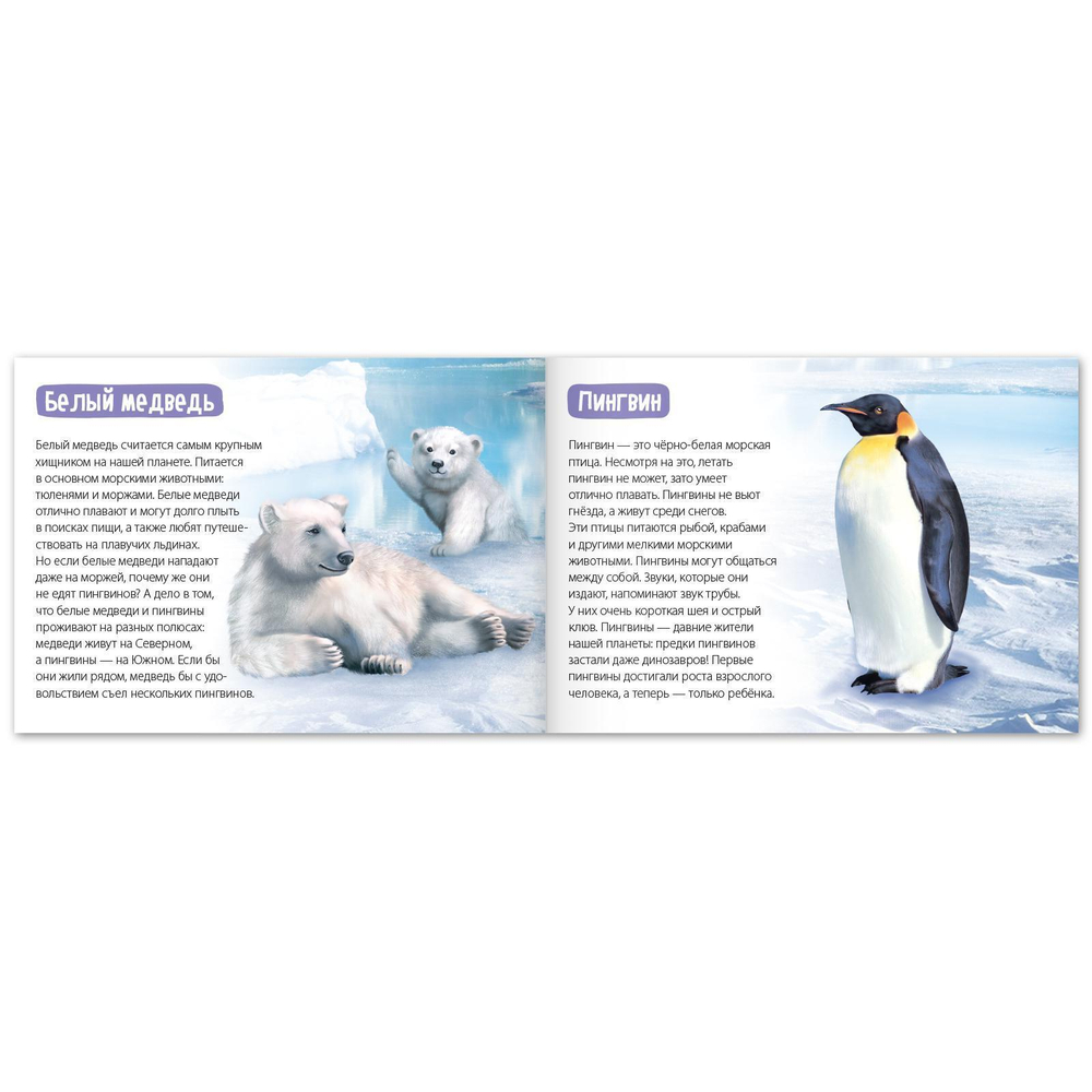 Обучающие книги набор «Удивительный мир» 6 шт.